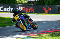 cadwell-no-limits-trackday;cadwell-park;cadwell-park-photographs;cadwell-trackday-photographs;enduro-digital-images;event-digital-images;eventdigitalimages;no-limits-trackdays;peter-wileman-photography;racing-digital-images;trackday-digital-images;trackday-photos